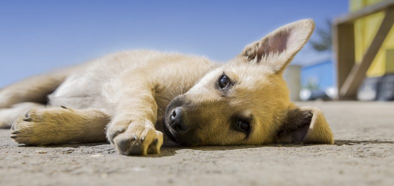 つり目さんコンプレックス解消アイメイク！セクシーねこ目&amp;子犬メイク 二重整形はじめての埋没法